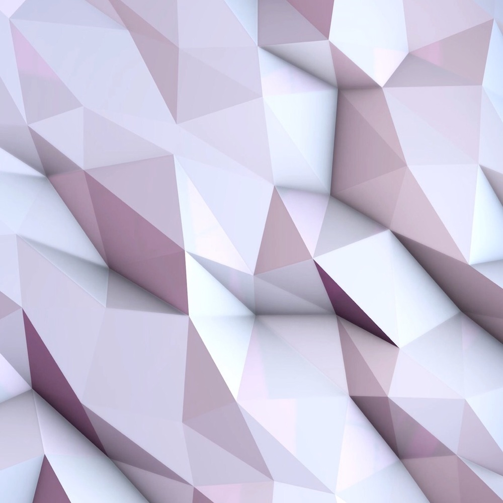 Meet your Posher, Addison